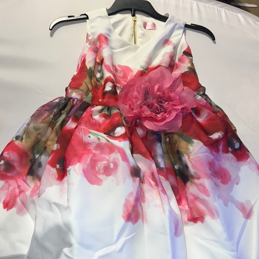 Zoe LTD 7 dress